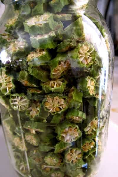 Dried Okra- How to Preserve Okra by Dehydrating Dehydrate Okra In Air Fryer, How To Dehydrate Okra, Freeze Dried Okra, Dehydrated Okra Recipe Air Fryer, Dehydrating Okra, Dehydrate Okra, Dehydrated Okra Chips, Dehydrated Okra Recipe, Dried Okra Recipe