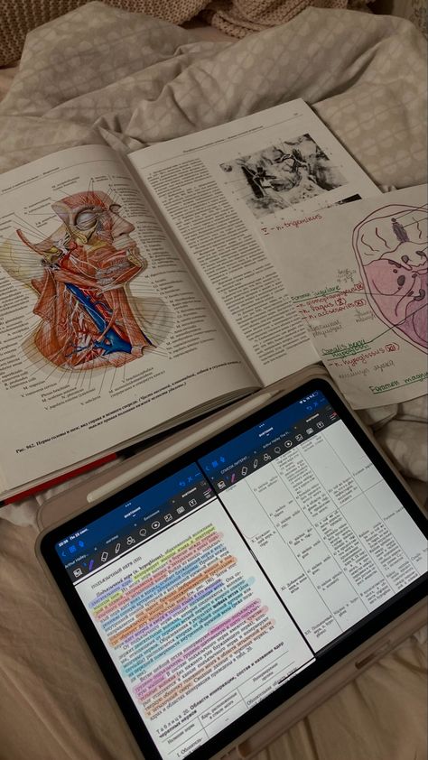 Study Motivation Medicine, College Notes Aesthetic, Locking In, Medicine Anatomy, Study Business, Study Medicine, Property Business, Medicine Notes, Medical School Life