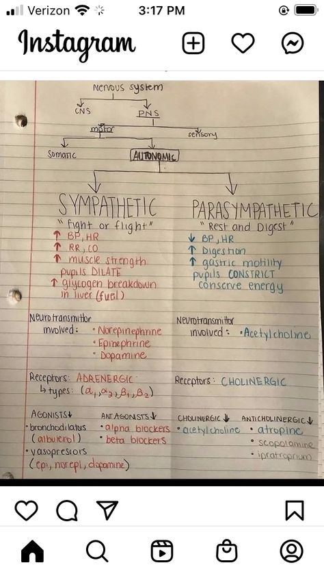 Respiratory Therapy Medications, Nurse Anesthesia Notes, Review Of Systems Nursing, Pharmaceutical Analysis Notes, Pharmacology Dental Hygiene, B Pharmacy Notes 1st Year, Pharmacy Tech Study Notes, Pharmaceutics Notes, Cholinergic Agonists