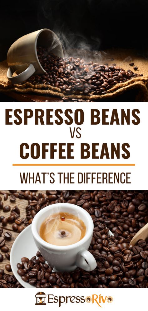 What's the difference between coffee and espresso beans?” The truth is, there's no difference between espresso and coffee beans.  #CoffeeBeans #EspressoBeans #EspressoRivo Chocolate Espresso Beans, Best Espresso Beans, Coffee Beans Photography, Coffee Bean Art, Espresso Recipes, Kinds Of Beans, Best Beans, Espresso Beans, Chocolate Espresso