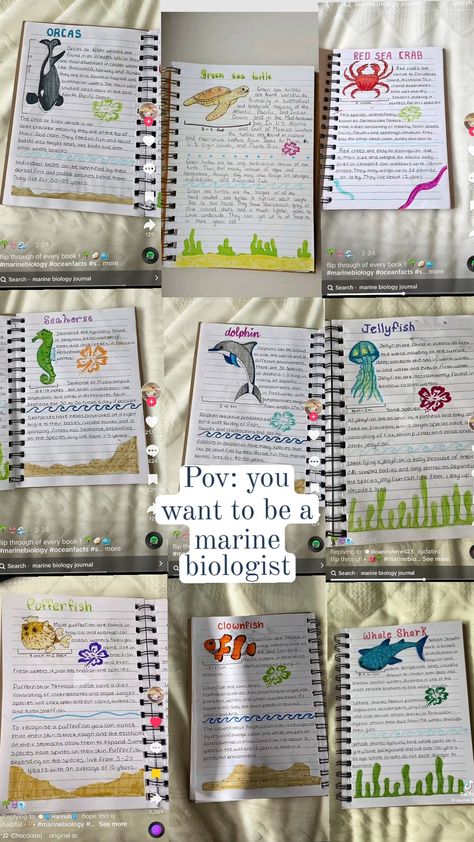 Studying Marine Biology, Marine Biology Book, Marine Biology Notebook, Marine Biology Journal, Marine Biology Aesthetic Notes, Zoology Notes, Biology Journal, Biology Notebook, Biology Book