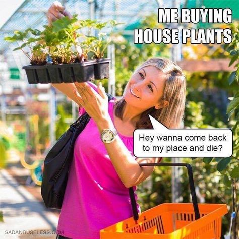 From Funny to Brutally Honest: The 35 Best Memes of the Week  We did a roundup of our favorite memes this week. From funny to inspiring, these memes will bring you pure joy.  #Humor #Memes #ParentingHumor Gardening Memes, Children Of The Corn, Gardening Humor, Meme Page, Better Homes And Garden, Something To Remember, Most Popular Memes, Parenting Memes, Life Memes