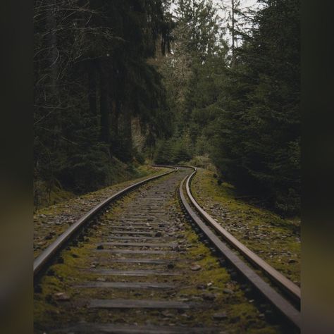 Railroads Aesthetic, Train Tracks Aesthetic, Reference Places, Apocalypse Party, Abandoned Train Station, Pretty Scenery, Apocalypse Aesthetic, Abandoned Train, Railroad Photography