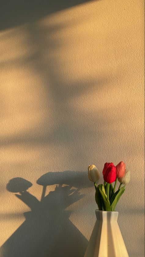 Morning Sunrise Painting, Golden Hour Flowers, Morning Asthetic Picture, Good Morning Sunrise Pictures, Morning Aesthetic Pictures, Diy Outdoor Toys For Kids, Morning Aesthetic Sunrise, Morning Sunrise Aesthetic, Tulip Background