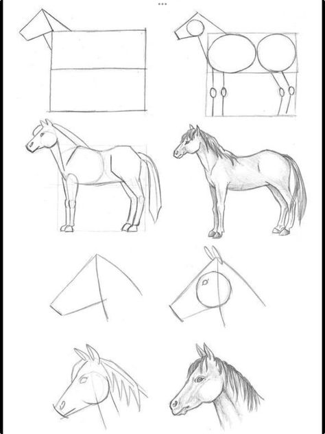 How To Draw Spirit The Horse, Horse Face Drawing Step By Step, Horse Step By Step Drawing, Horse Drawing Tutorial Step By Step, Easy Horse Drawing Step By Step, How To Draw Horses Step By Step, How To Draw Horse, Horse Painting Tutorial, Horse Sketch Easy