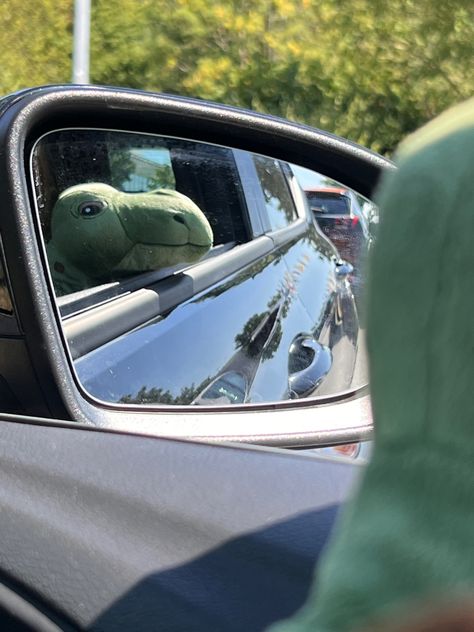 Car Mirror Aesthetic, Dinosaur Aesthetic, Mirror Aesthetic, Cute Squishies, Shadow Photography, Fit Board Workouts, Women Photography Poses, Aesthetic Images, Girls Life