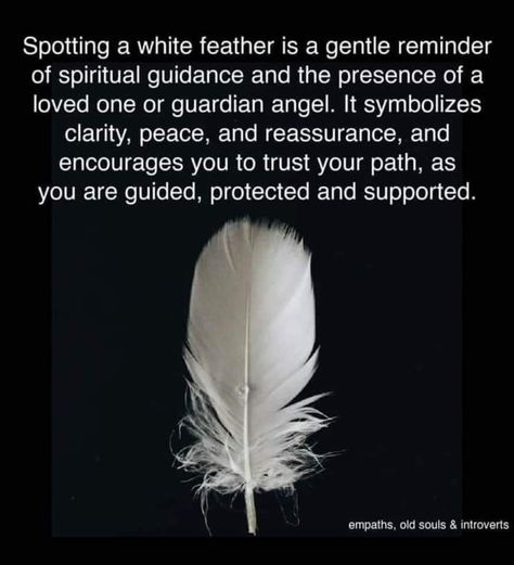 Finding A White Feather Meaning, Animals Symbolism, White Feather Meaning, Feather Color Meaning, Feather Magic, Butterfly Symbolism, Finding Feathers, Feather Signs, Feather Meaning