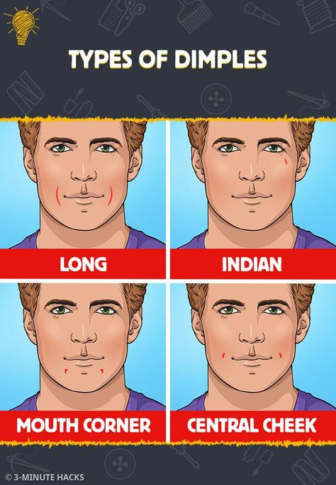 Types Of Dimples, Adonis Belt, Dimples Of Venus, Name Tent, Occipital Lobe, Nasal Septum, Weird Names, Unusual Names, Middle Ear