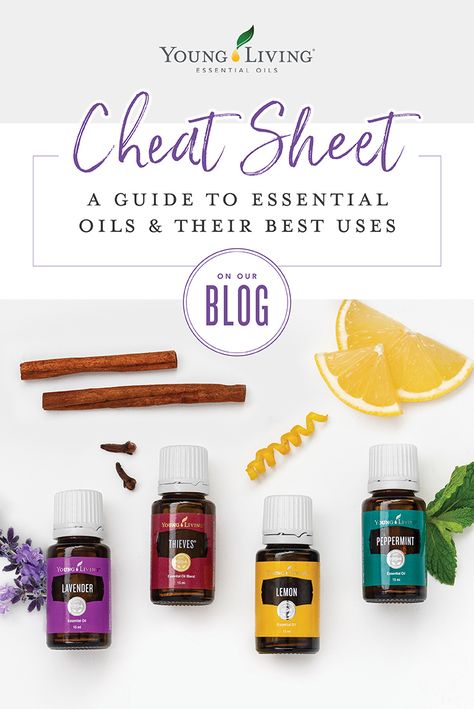 Melrose Essential Oil Young Living, Melrose Essential Oil, Essential Oils Uses Chart, Essential Oil Chart, Young Living Recipes, Living Oils Recipes, Essential Oil Usage, Essential Oil Brands, List Of Essential Oils