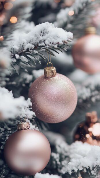 A Christmas tree with rose gold and blush pink ornaments, iPhone background. Rose Gold Iphone Wallpaper, Gold Iphone Wallpaper, Gold Christmas Wallpaper, Iphone Wallpaper Christmas, Christmas Tree Roses, Christmas Iphone Wallpaper, Pink Ornaments, Rose Gold Iphone, Merry Christmas Wallpaper