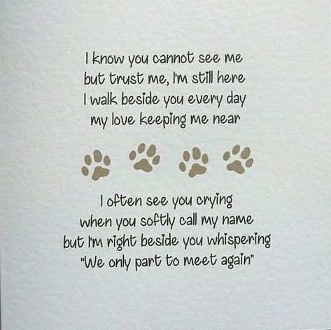 New Puppy After Losing A Dog Quotes, Heavens Pets, Doggy Heaven Quotes, Pet Memorial Quotes Cat, All Dogs Go To Heaven Quotes, Pet Memorial Quotes Dogs, Dogs Go To Heaven Quotes, Dog In Heaven Quotes, I Miss My Dog Pet Loss