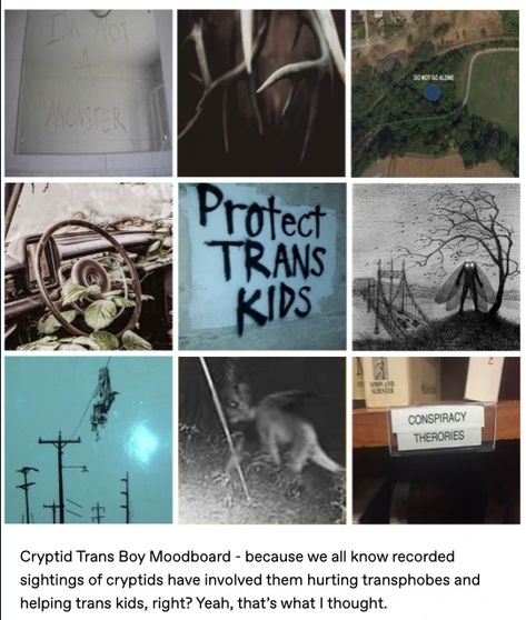 Cryptidcore | Aesthetics Wiki | Fandom Mood Boards Aesthetic, Dover Demon, Cryptidcore Aesthetic, Twin Peaks 1990, Short Horror Stories, Road Trip Camping, Trans Boys, Home For Peculiar Children, The Adventure Zone