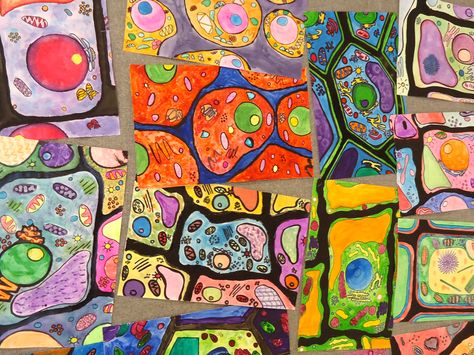 ARTimus Prime: 6th Grade- Watercolor Cells Elementary Projects, Steam Art, Steam Projects, 4 Grade, Biology Art, 6th Grade Art, 5th Grade Art, Arts Integration, Cell Structure