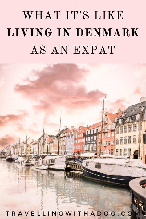 Move To Europe, Moving To Europe, Denmark Travel Guide, Copenhagen Travel, Denmark Travel, Best Travel Accessories, Scandinavian Countries, Living In Europe, Work Abroad