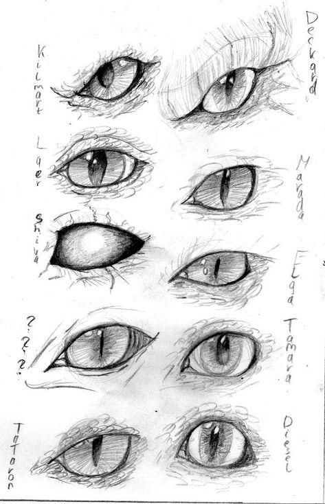 Dragon Eyes Reference, How To Draw Snake Eyes, Creepy Face Drawing Reference, Dragons Eye Drawing, How To Draw Demon Eyes, Dragon Eye Reference, Snake Eye Drawing Sketch, How To Draw A Dragon Eye, Monster Eyes Reference