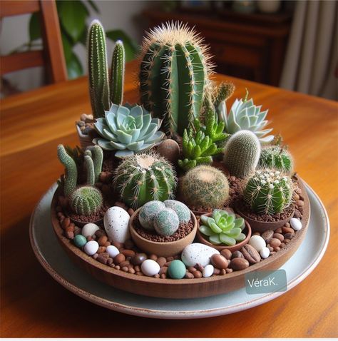 Cacti Pot Ideas, Pots Ideas For Plants, Terriums Ideas Succulents, Cactus Succulent Arrangement, Cactus Arrangements Ideas, Cactus Garden Indoor, Terrarios Suculentas Ideas, Cactus Planter Ideas, Dish Garden Ideas