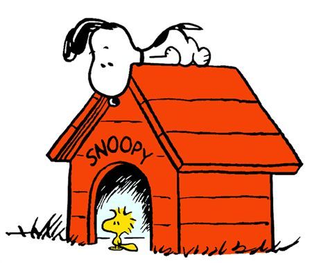 Snoopy Drawing, Snoopy Dog House, Snoopy Funny, Snoopy Images, Peanuts Cartoon, Peanuts Snoopy Woodstock, Snoopy Wallpaper, Snoopy Quotes, Snoopy Pictures