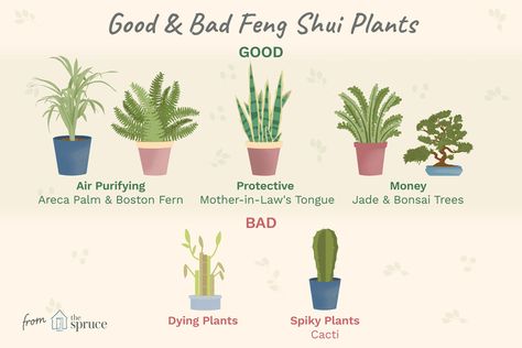 Feng Shui Indoor Plants, Bad Feng Shui, Feng Shui Dicas, Bedroom Feng Shui, Feng Shui Kitchen, Feng Shui Bathroom, Feng Shui Rules, Feng Shui Plants, Fen Shui