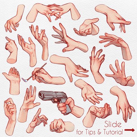 Qinni 【天天就是天天】 on Twitter: "Alright, a new collection of hands and some old hand tutorial :D I had a lot of fun doing these; i didn't really plan to colour it but here we are 😆 Feel free to use for practice. Tip: do 10 hands a day for 20 days and you'll improve for sure 😄~ #fbf(sorta lol) #tutorial… https://t.co/m0yGIhXXkB" Bass Poses, Drawing Basics, Drawing Help, Drawing Hands, Hand Gestures, Drawing Eyes, Hand Drawing Reference, Drawing Faces, Hand Reference