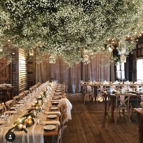 Baby's breath and other light white florals installation with hanging orbs (that have electronic candles/tealights inside them) incorporated  above dancefloor and above Bride and groom table. Reception Ceiling, Terrain Wedding, Wedding Ceiling, Indoor Wedding Receptions, Romantic Wedding Receptions, Indoor Wedding, Wedding Vibes, Greenery Wedding, Wedding Deco