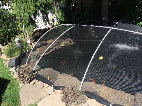 Pond Covering Ideas, Above Ground Pond, Fish Ponds Backyard, Raised Pond, Pond Covers, Building A Pond, Cat Proofing, Pond Ideas, Wire Cover