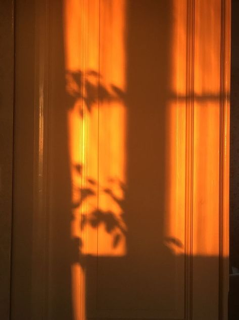 Manike Mage Hithe, Aesthetic Status, Sun Blinds, Golden Hour Photos, Shadow Pictures, Gold Aesthetic, Orange Aesthetic, Orange Wallpaper, Mineral Sunscreen