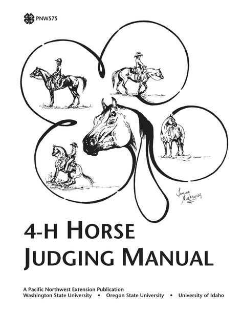 This illustrated publication includes the following topics: horse anatomy, unsoundnesses and blemishes; halter horse judging, descriptions and regulations for the different horse breeds; judging the performance horse including: pleasure, halter showmanship, stock seat and English equitation, Western and English riding, and the reining class; completing the placing card; oral reasons; and contest regulations and scoring. Horse Judging, Halter Horse, Livestock Judging, Horse Business, Saddle Club, 4h Ideas, Different Horse Breeds, Diy Horse Barn, Horse Lessons