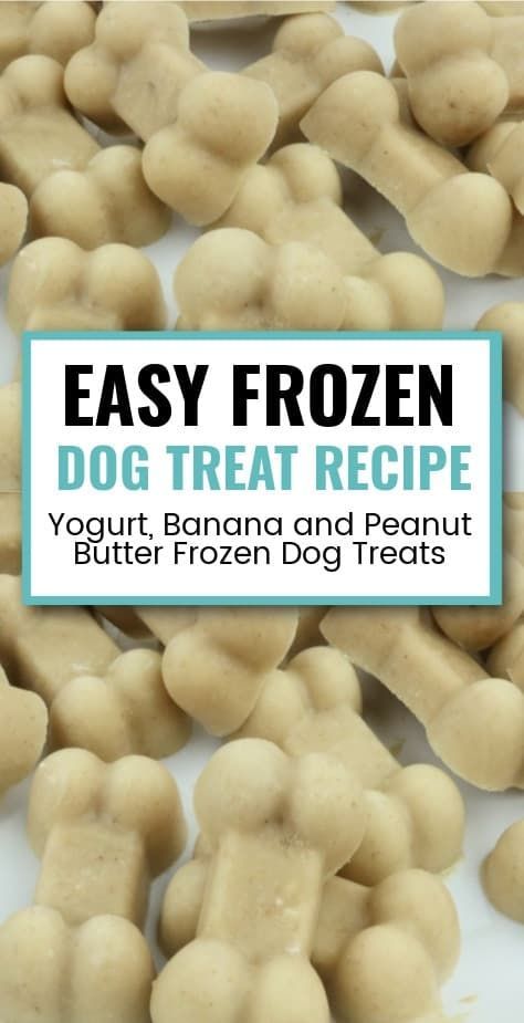 Frozen Dog Treats Recipes, Frozen Dog Treats Homemade, Homemade Frozen Yogurt, Banana And Peanut Butter, Yogurt Banana, Pet Treats Recipes, Dog Treat Recipe, Easy Dog Treat Recipes, Dog Treats Homemade Easy