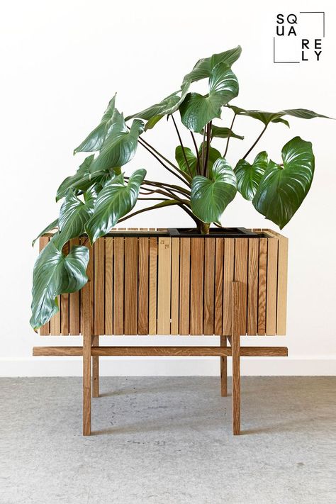 Indoor Wood Planter, Wood Planter Stand, Indoor Planter Box Ideas, Plant Box Indoor, Wooden Pots For Plants, Wooden Planter Stand, Wood Plant Pot, Indoor Planter Box, Wooden Planter Boxes