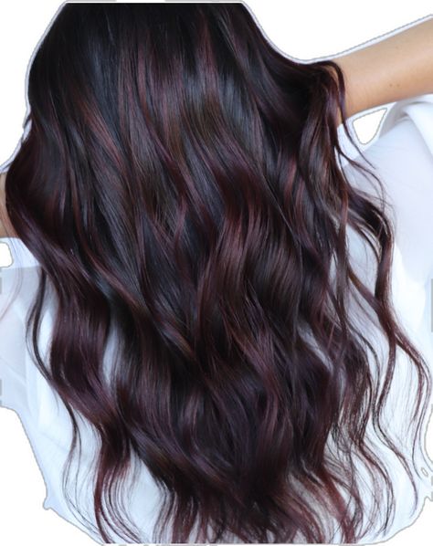 Chocolate Brown With Burgundy Highlights, Wine Color Balayage, Dark Brown Hair With Maroon Highlights, Black Hair With Cherry Highlights, Red And Dark Hair, Dark Cherry Highlights On Dark Hair, Dark Hair With Purple Undertones, Blackberry Balayage, Cherry Cola Hair Color Balayage