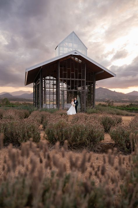 Kooroomba Lavender Farm | Scenic Rim Wedding Photography — Figtree Pictures Kooroomba Lavender Farm Wedding, Lavender Farm Wedding, Open Air Chapel, Coast Photography, Video Team, Lavender Farm, Lavender Fields, Photography And Videography, Farm Wedding