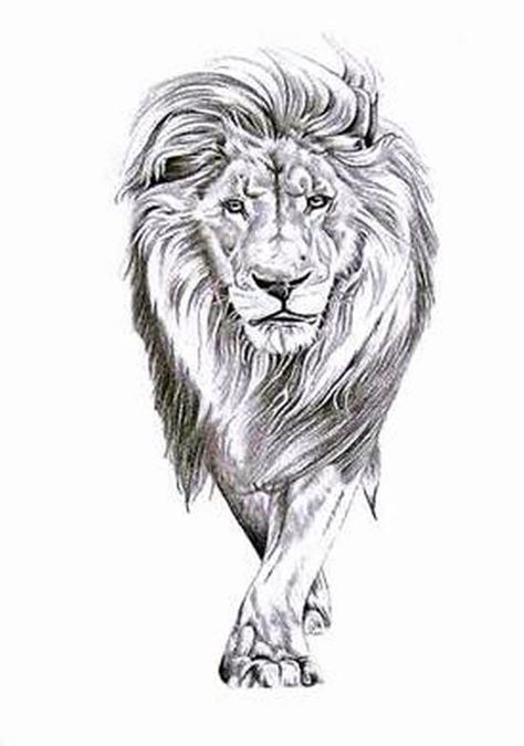 Lion Walking Lion Walking, Tier Tattoo, Lion Sketch, Tattoo Lion, Lion Drawing, Leo Tattoos, Lion Tattoo Design, Graffiti Designs, 수채화 그림