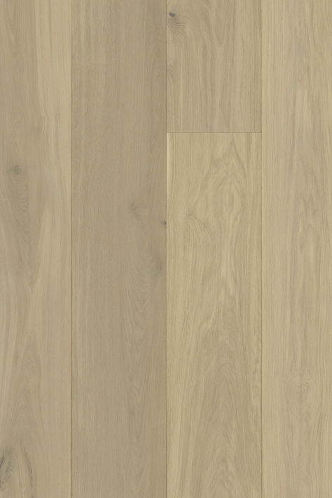 European White Oak - wide plank hardwood floors Monarch Plank Hardwood, Flooring Trends, The Bay Area, Plank Flooring, Hardwood Flooring, White Oak, Bay Area, Hardwood Floors, San Francisco