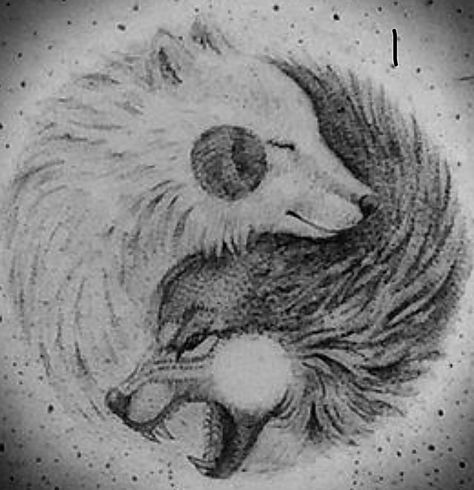 Wolf Tattoo Yin Yang, Couple Tattoos Wolf, Wolf Yin Yang, Tattoo Yin Yang, White Wolf Tattoo, Racoon Tattoo, Wolf Tattoo Forearm, Couple Tattoos Unique Meaningful, Think Tattoo