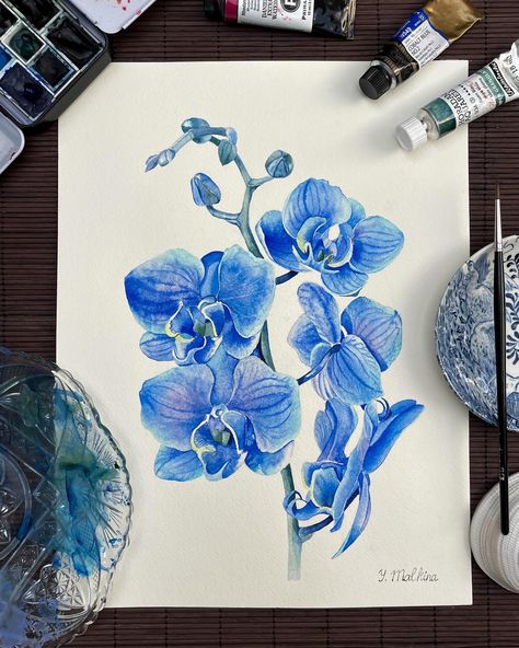 Blue orchids are often seen as symbols of rarity and beauty, and painting this delicate bloom allowed me to explore these qualities in a new way. I don’t often work with a purely blue palette, but this time, I wanted to challenge myself to capture the nuances and depth that can be found within a single color family. The process was both meditative and challenging, pushing me to capture the intricate details and subtle variations in color that make these flowers so mesmerizing. The watercolor... Orchid Flower Watercolor, Blue And Purple Orchids, Watercolor Orchid, Orchid Drawing, Orchids Painting, Blue Palette, Watercolor Blue, Blue Orchids, Rarity