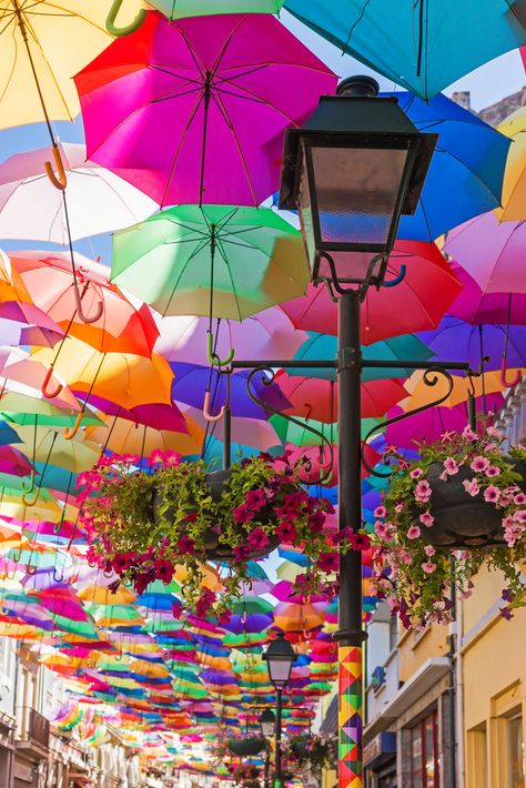 These Are The Most Colourful Streets in the World|Pinterest: theculturetrip Umbrella Walkway, Umbrella Street, Girl Face Tattoo, Colorful Umbrellas, Colorful Places, Umbrella Art, Rainbow Aesthetic, Amazing Street Art, World Of Color