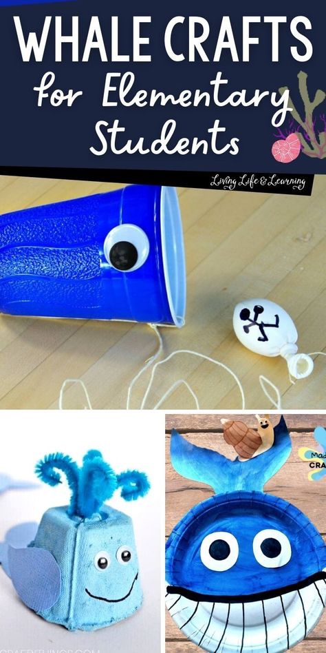 Are you looking for fun and educational activities to engage your child   during your homeschool ocean lesson? Look no further than this of list   of whale crafts for elementary students! These creative and engaging   projects will spark your child's curiosity and imagination while also   teaching them about these majestic creatures of the sea. Whale Crafts For Kids, Whale Facts For Kids, Crafts For Elementary Students, Crafts For Elementary, Whale Craft, Biology For Kids, Kids Stem Activities, Chemistry For Kids, Snail And The Whale