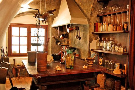 Alchemists Workshop by Curious Expeditions, via Flickr Gold Factory, Bg Design, Golden Eagle, Kitchen Witch, Alchemy, Apothecary, Pharmacy, Budapest, Chemistry