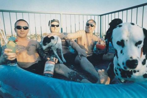 .@SublimeWithRome in Talks for #Biopic, Prepping #Documentary + ’40 Oz. to Freedom’ Lager  Read More: Sublime in Talks for Biopic, Prepping Documentary + Lager | http://loudwire.com/sublime-talks-biopic-prepping-documentary-40-oz-to-freedom-lager/?trackback=tsmclip Bradley Nowell, Lou Dog, Sublime Band, Beach Beer, Oscar Winners, The Band, Debut Album, Long Beach, Fun To Be One