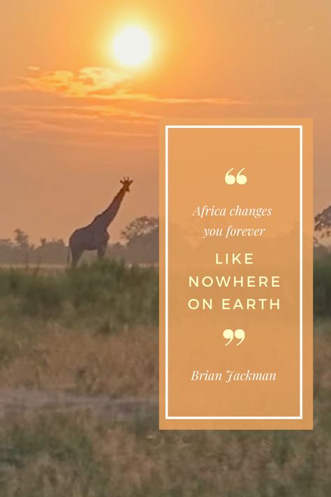 Connect with nature and discover captivating wildlife on an enthralling adventure safari with Brave Africa. It's unlike anything you’ve experienced before. Safari Quotes, Africa Quotes, Africa Hunting, Africa Party, Chobe National Park, African Quotes, Hunting Quotes, Volunteer Travel, Insta Quotes