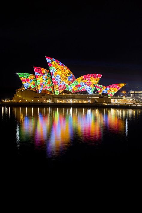 Vivid Sydney on Twitter: "The Sydney Opera House sails will illuminate with 'Songlines', featuring the work of 6 Indigenous artists. 6pm-11pm. Vivid Sydney, Cairns Queensland, City Of Adelaide, Sydney City, Oceania Travel, Airlie Beach, Harbour Bridge, Travel Icon, Famous Places