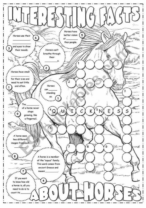 Equine Therapy Activities, Horse Worksheets, Interesting Facts About Horses, Horse Camp Ideas, Facts About Horses, Horse Activities, Teaching Worksheets, Horse Lessons, Horse Club