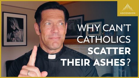 Fr Mike Schmitz, Father Mike Schmitz, Catholic Answers, Catholic Doctrine, Traditional Catholicism, Catholic Beliefs, Bible Study Topics, Catholic Quotes, Prayers For Healing