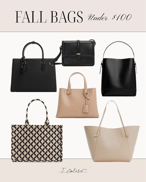 Discover fabulous fall purses under $100 that complete your autumn wardrobe without breaking the bank. Affordable style at its best. Tap to shop these budget-friendly bags! 👜🍂 Fall Purses, Uni Essentials, Teresa Caruso, Uni Bag, Boxy Bags, Purse Essentials, Seasonal Wardrobe, Fall Bags, Everyday Purse