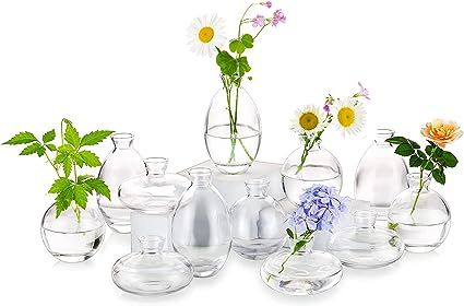 Amazon.com: Glass Bud Vases Set of 12, Hewory Cute Clear Small Vases Handmade, Mini Glass Flower Vase for Floral Arrangement, Tiny Centerpiece for Wedding Party Events Home Office Table Decor (Not Include Flower) : Home & Kitchen Vases Handmade, Office Table Decor, Glass Vases Centerpieces, Vases For Flowers, Small Vases, Small Glass Vases, Art Deco Vases, Tiny Wedding, Glass Bud Vase