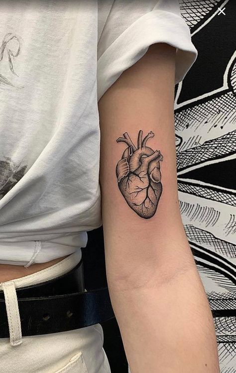 Human Heart Tattoo, Hart Tattoo, Realistic Heart Tattoo, Realistic Heart, P Tattoo, Anatomical Heart Tattoo, Skeleton Hand Tattoo, Inspiration Tattoos, Tattoo Artwork