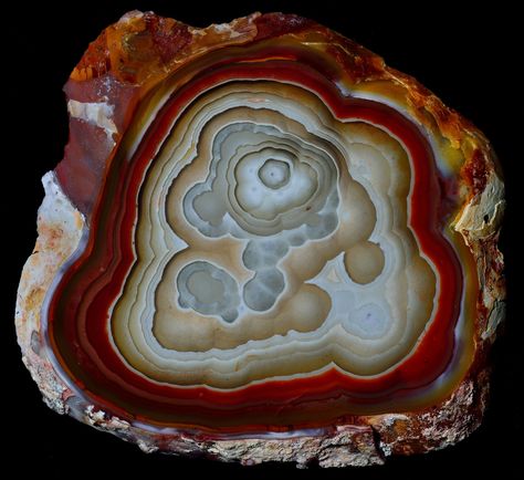 Mexican Lace Agate slice | ~5.9 x 5.5cm. The experts have we… | Flickr Agate Rock, Mexican Lace, Agate Rocks, Mineral Jewelry, Carnelian Agate, Rock Minerals, Pretty Rocks, Beautiful Stones, Beautiful Rocks