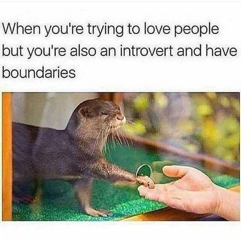 Introvert Problems, Introverts Unite, Introvert Humor, Infj Personality, Myers Briggs, Intp, Intj, Infp, Infj