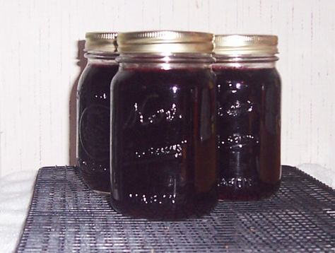 Dewberries grow wild in my part of the country.  They are very similar to blackberries, but larger and sweeter.  This is the my DHs favorite jelly.  You can use this same recipe using blackberries or boysenberries.  The times listed in the recipe DO NOT INCLUDE the straining time. Dewberry Jelly Recipe, Dewberry Recipes, Jelly Food, Canning Granny, Canning 101, Canning Food, Jelly Recipe, Jam And Jelly, Jelly Recipes