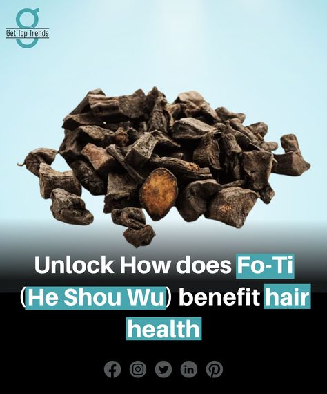 Are you struggling with hair problems like hair loss, thinning, or dullness? Look no further than Fo-Ti, also known as He Shou Wu. Let’s know what is he shou wu. It is a traditional Chinese herb used for centuries to promote hair health and vitality. scientifically known as Polygonum multiflorum, is a herb native to China. It has been widely used in traditional Chinese medicine for its rejuvenating properties, particularly for the Hair and scalp. He Shou Wu, Health And Vitality, Chinese Herbs, Hair Problems, Traditional Chinese Medicine, Chinese Medicine, Hair Health, Traditional Chinese, Health Benefits